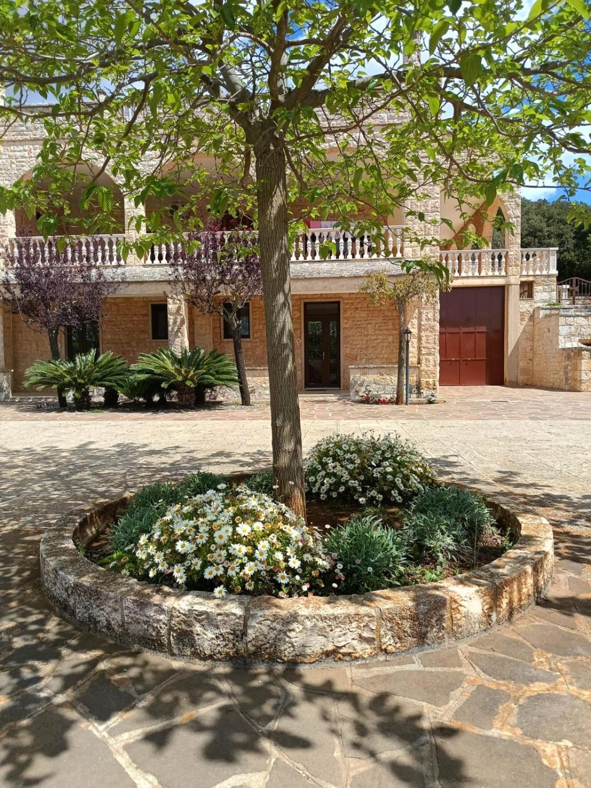Villa Lisi Selva Di Fasano Zewnętrze zdjęcie